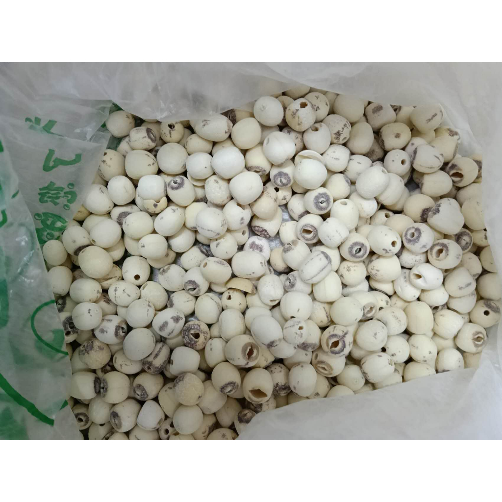 

Biji Teratai / Lian zi /Lotus seed 250 - 500 gr