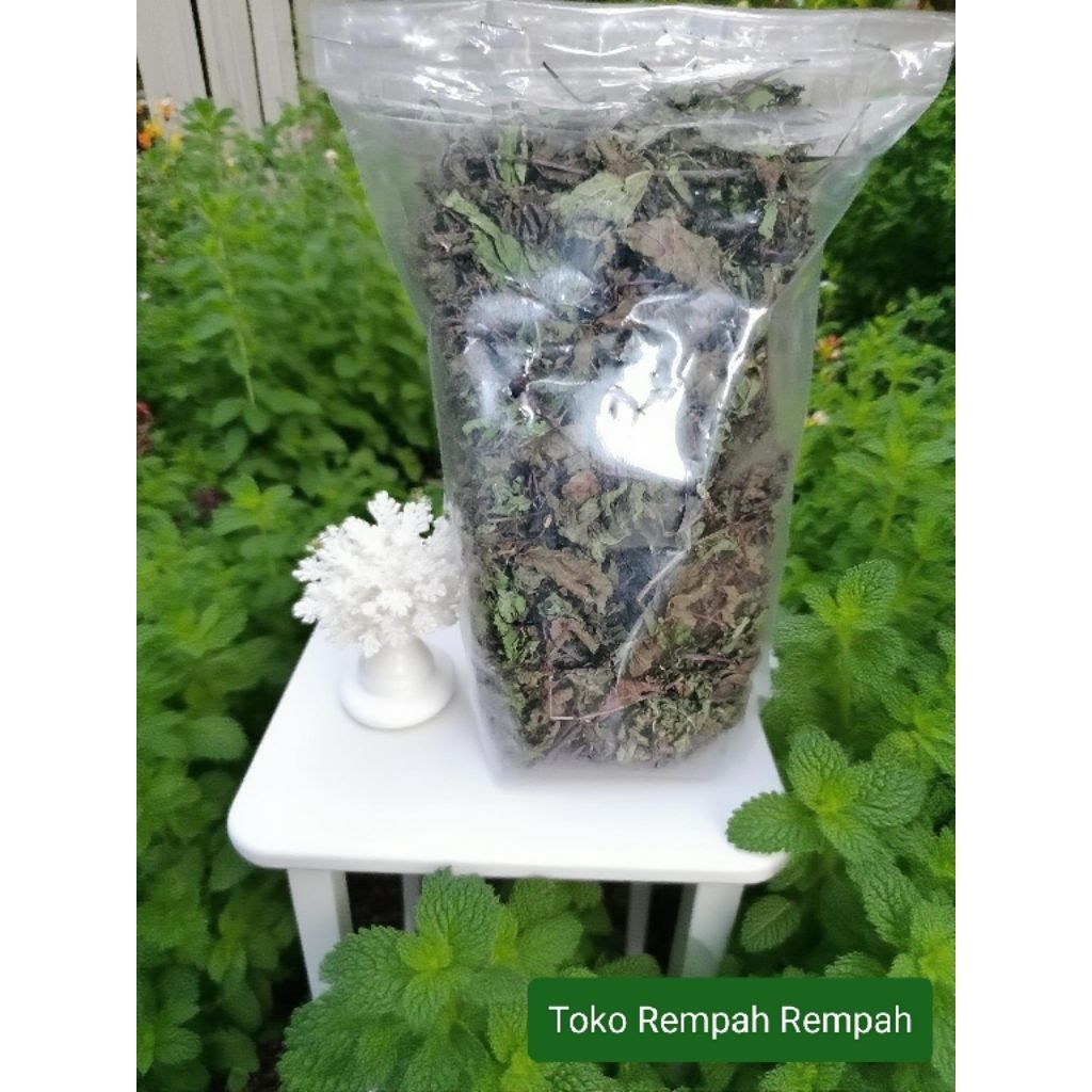 

Daun mint kering peppermin mentol rempah daun mint kering kemasan 100grm