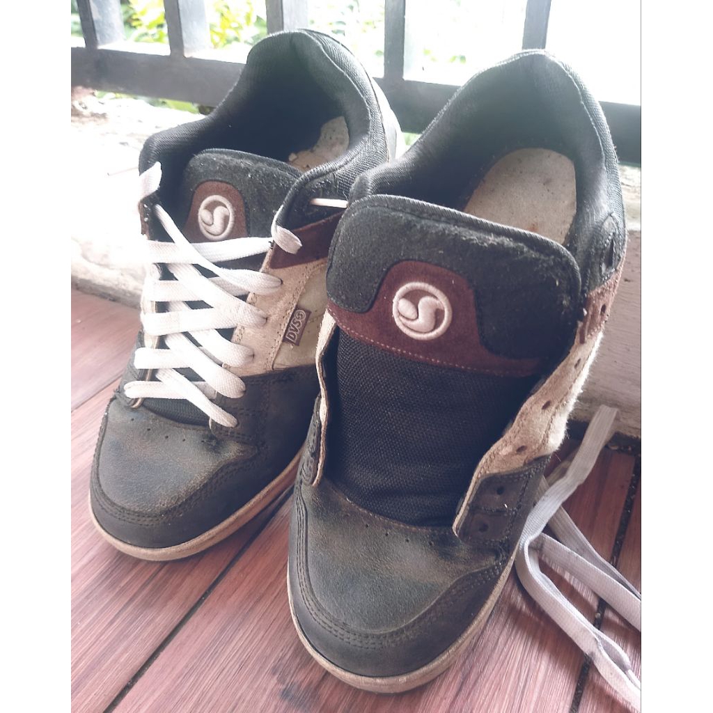 DVS Shoes skateboard