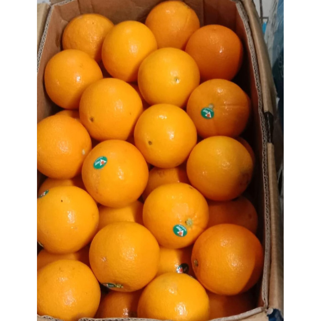 

Jeruk Sunkist manis segar enak