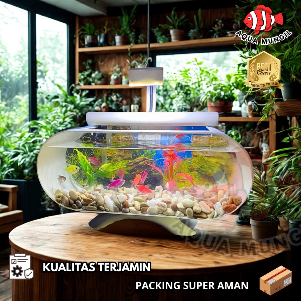 AQUARIUM MINI AESTHETIC FULL SET LENGKAP Dengan Mesin Pompa Aerator Tinggal Pakai (M02)