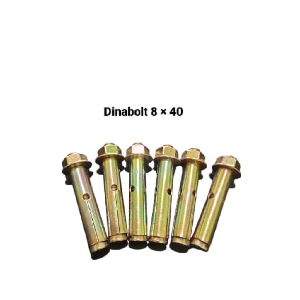 Dinabolt 8 × 40