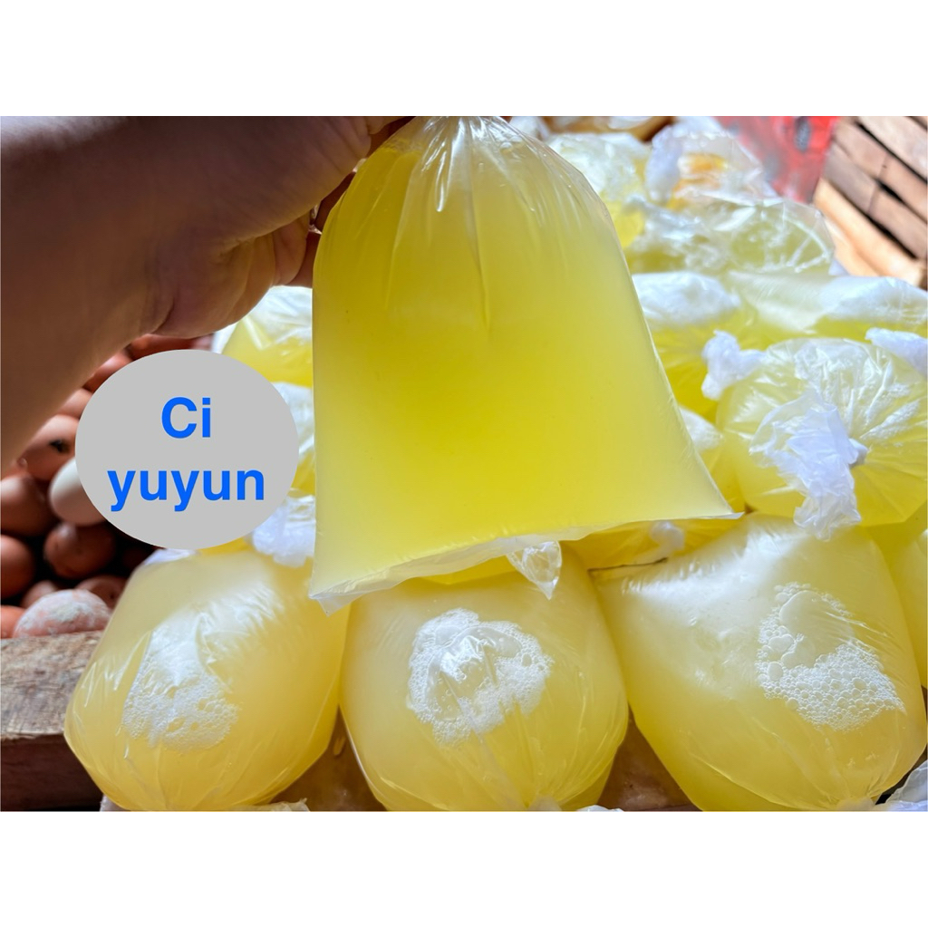 

Putih telur Putih telok 500 gram Telur putih Putih telur ayam