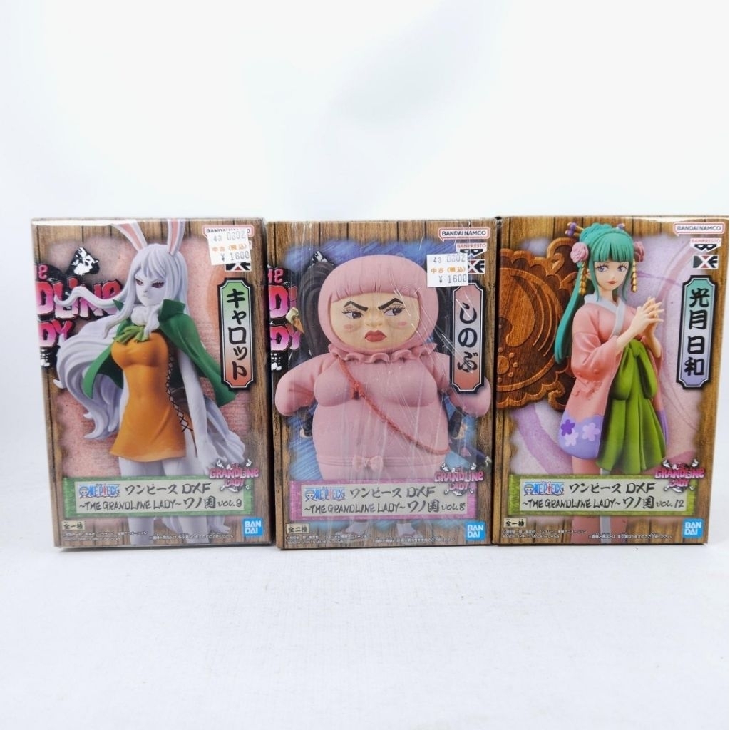 dxf figure one piece the grandline lady shinobu hiyori carrot