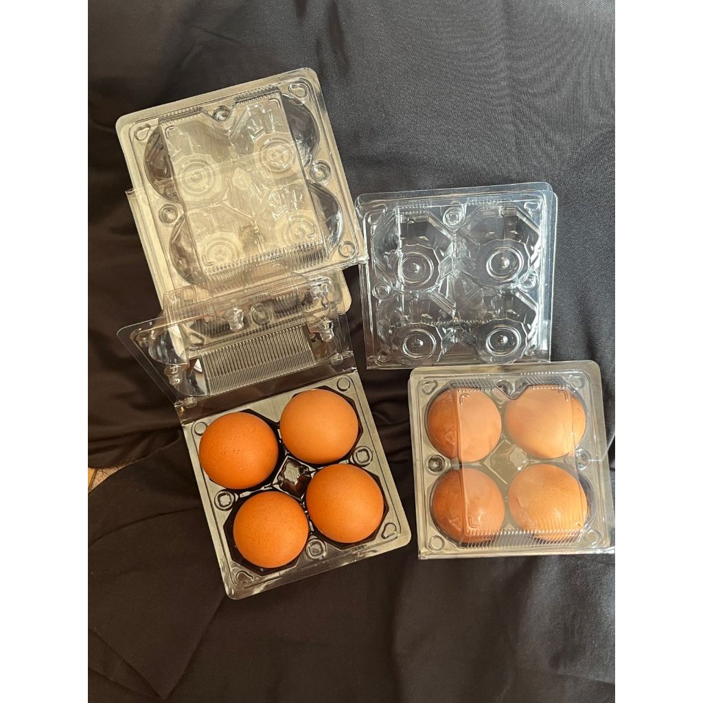 Mika Tray Telur Ayam isi 4 Murah Berkualitas Dengan Kancing