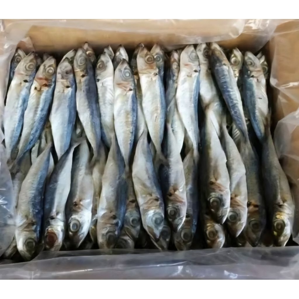 

Ikan Asin Layang ikan asin benggol 100 gram