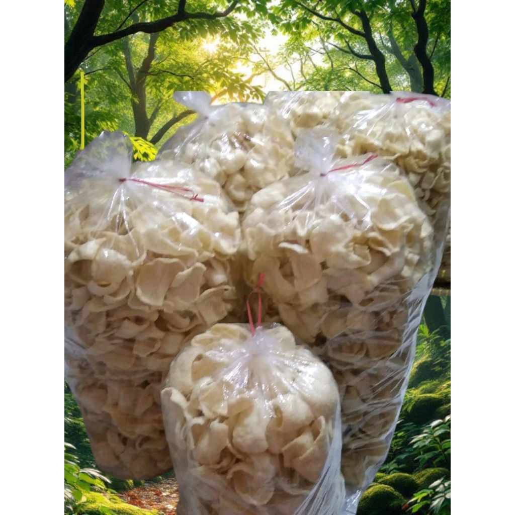 

Kerupuk Bawang Kating MJM 500 Gram Siap Saji