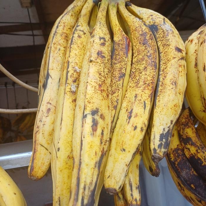 Buah pisang tanduk Fresh Segar
