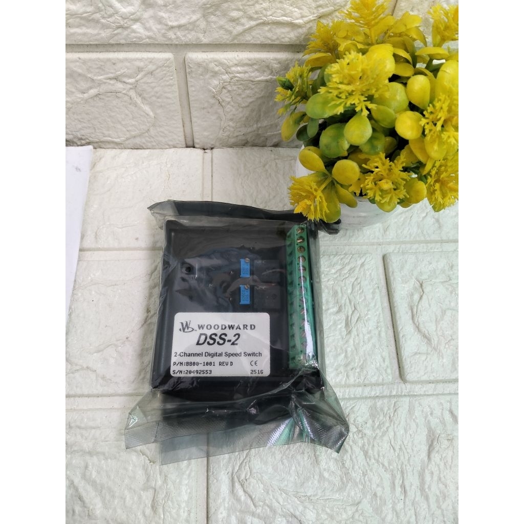 WOODWARD DSS-2 8800-1001 2-CHANNEL DIGITAL SPEED SWITCH
