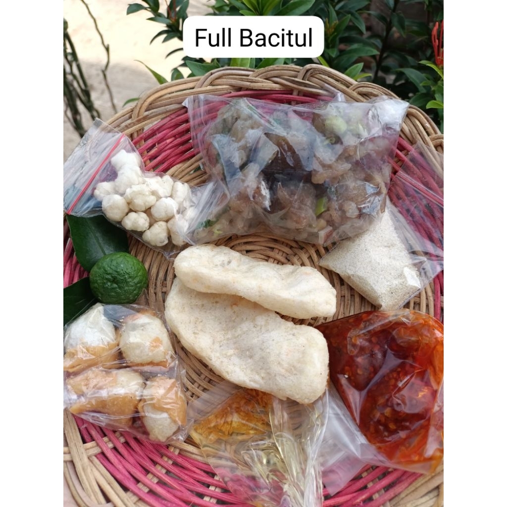 

Bacitul Jontor Varian Full Bacitul tulang rangu.