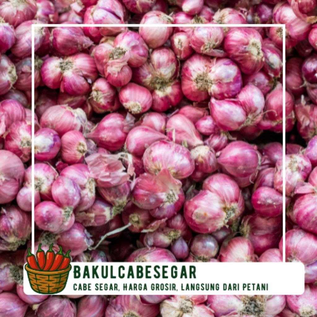 

Bawang Merah Premium Kering - Bawang Merah Brebes Murah