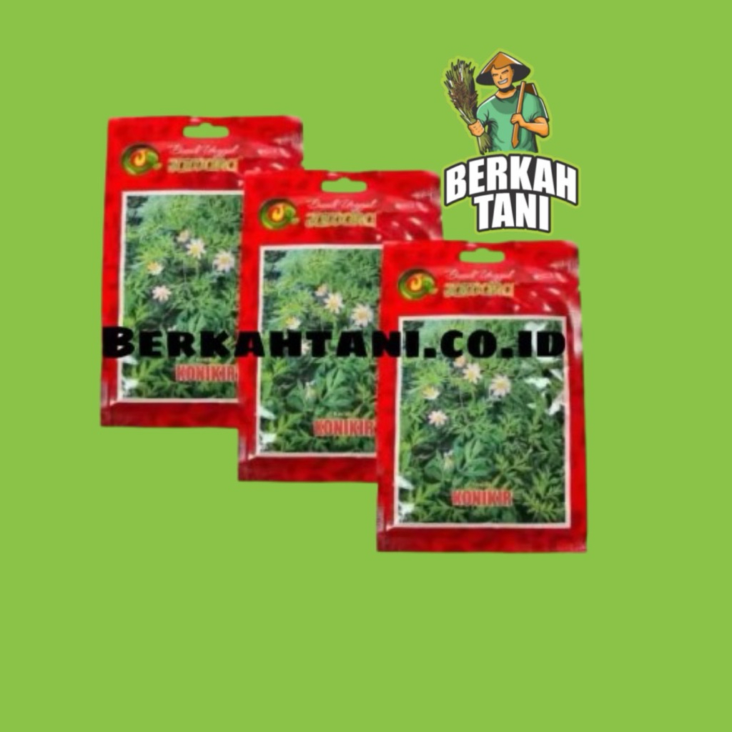 Benih Bibit Kenikir Konikir Benih Unggul Jawara - DAUN KENIKIR KONIKIR