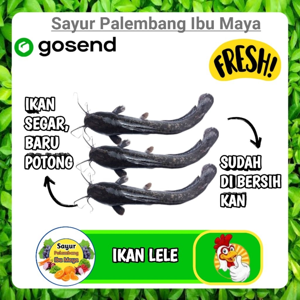 

Ikan Lele Fresh - Sayur Kirim instan Segar Palembang
