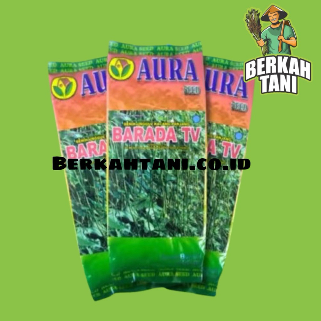 BARADA TV ISI 500 GRAM BIBIT BENIH KACANG PANJANG TAHAN VIRUS AURA SEED Setara Kanton Parade Tavi Pa