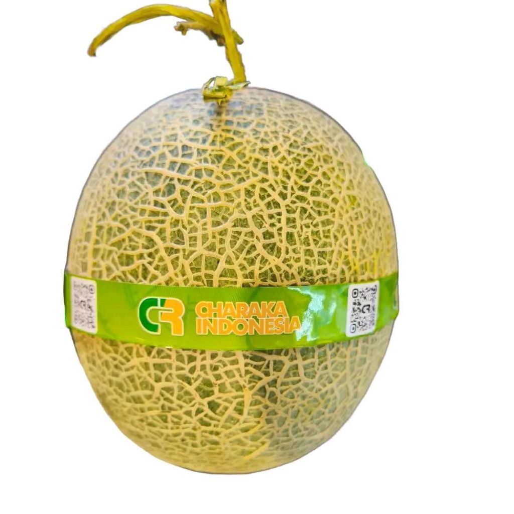 

Buah melon red sweet super premium melon orange manis super cruncy -+ 1,6 kg