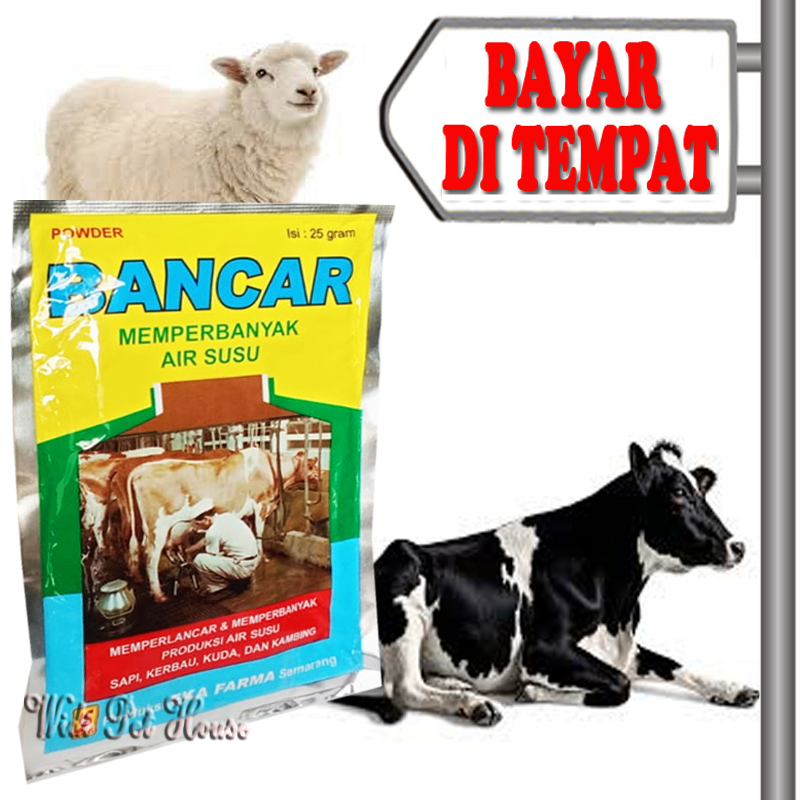 Vitamin Pelancar Air Susu Sapi Kambing Perah Jamu Bancar Hewan Ternak