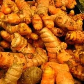 

kunyit/kuning segar 1 kg