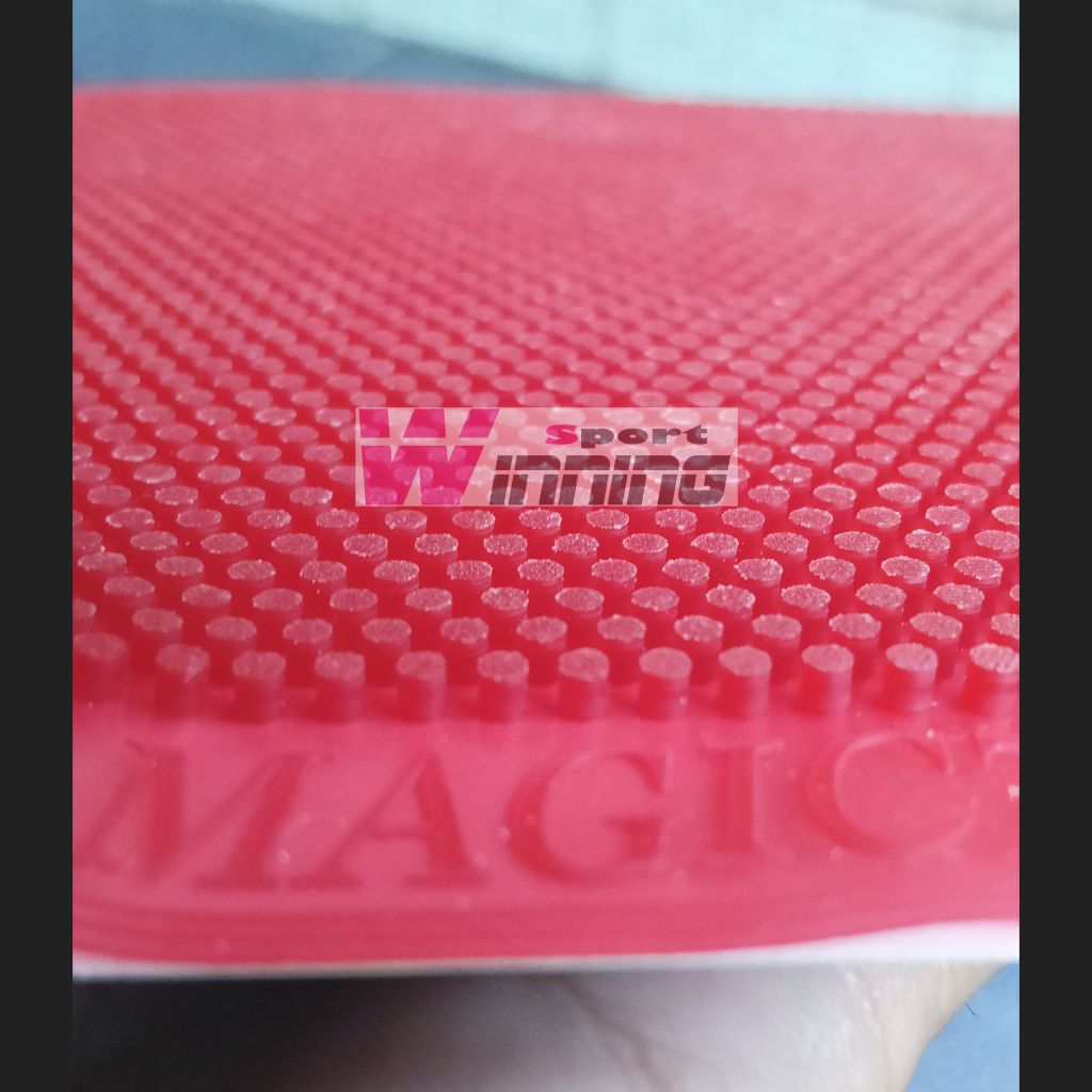 Magic 77 - Bintik Panjang Ox - Bintik Jahat Co