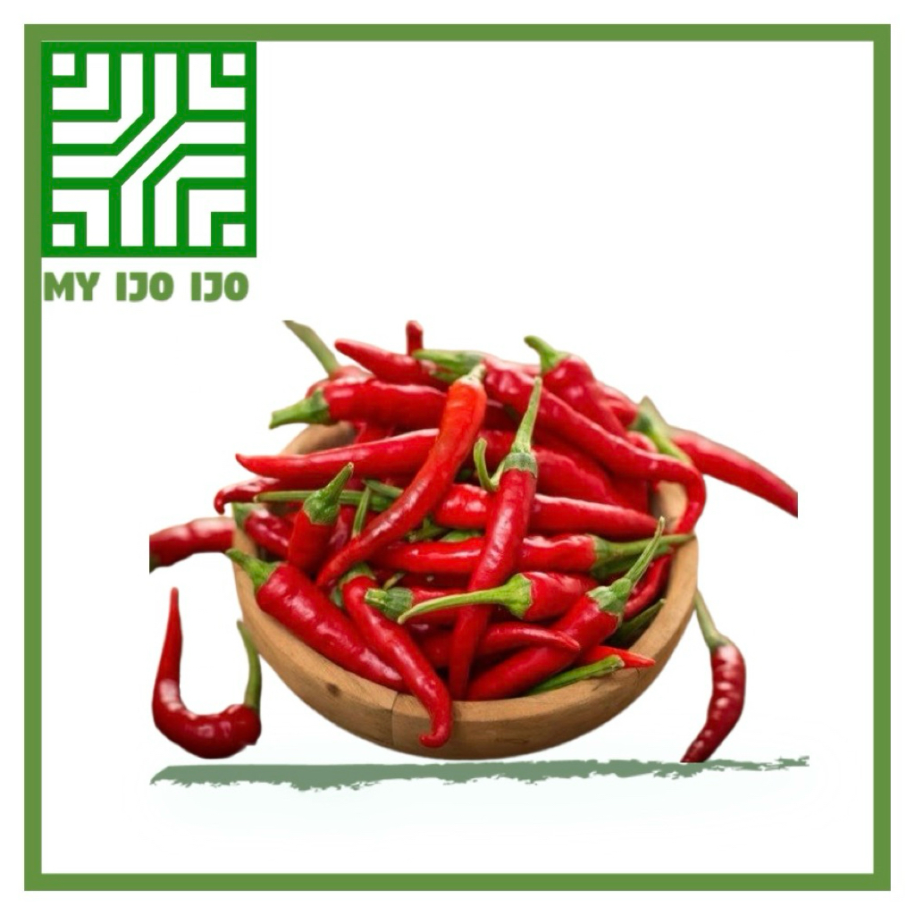 

CABE MERAH CABAI MERAH BESAR