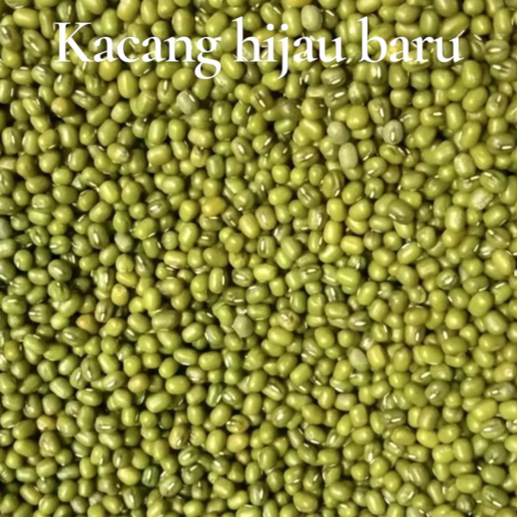 

KACANG HIJAU UNTUK BUBUR KACANG HIJAU 100% BARU PANEN PER LITER
