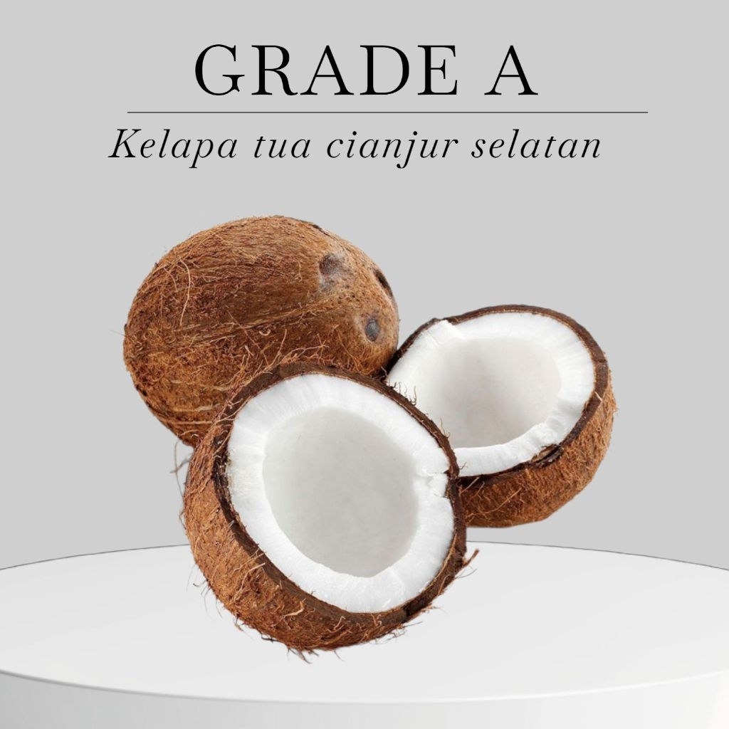 

Kelapa tua grade a