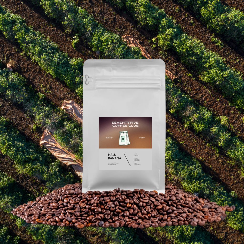 

BIJI KOPI BUBUK KOPI 100% FULL ARABICA HALU BANANA 1KG Arabika Halu Banana