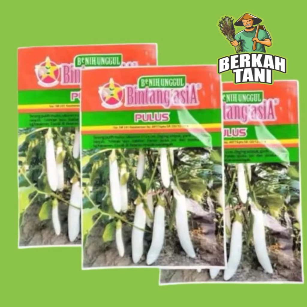 Pulus 10gr Benih Terong Putih Bintang Asia 100% Original Kania