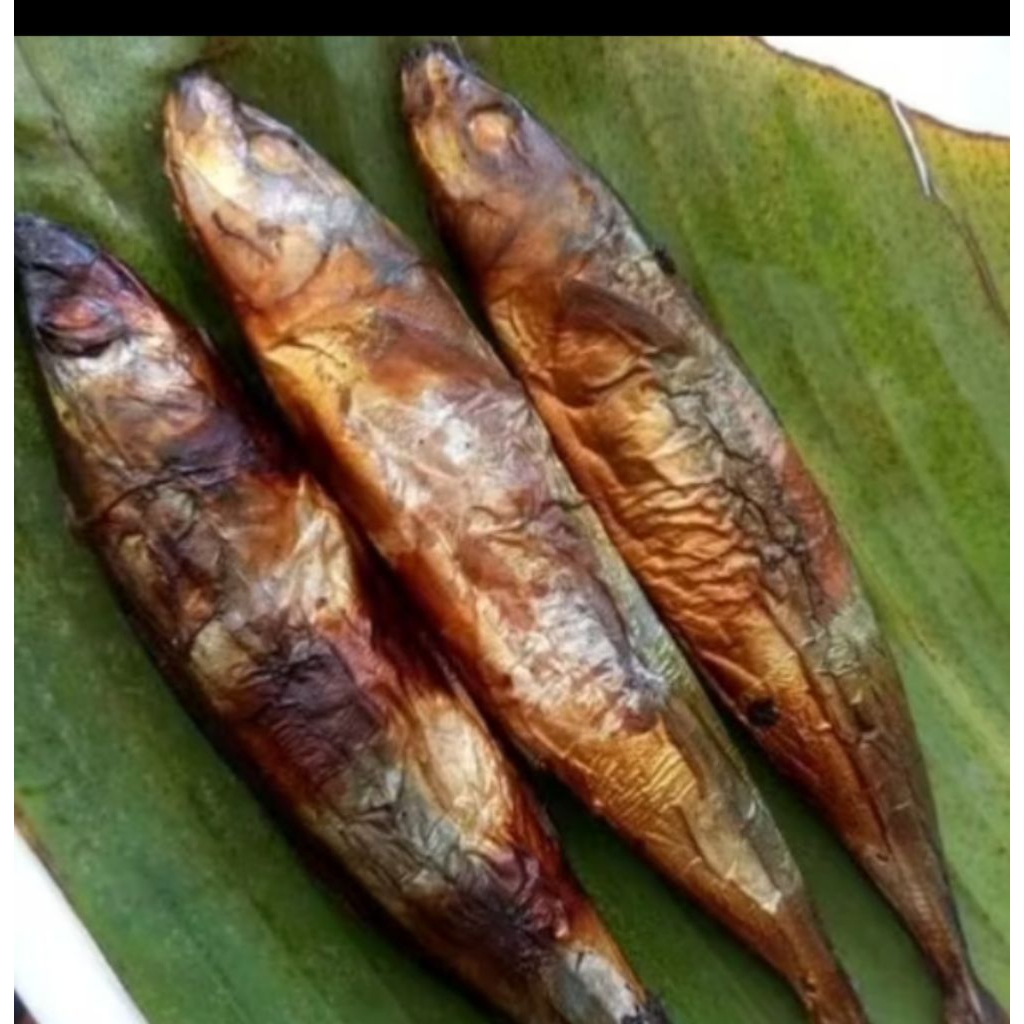 Ikan Asap (Panggang) Layang | Paket isi 5 ekor | Vacuum Packing | khas Pekalongan