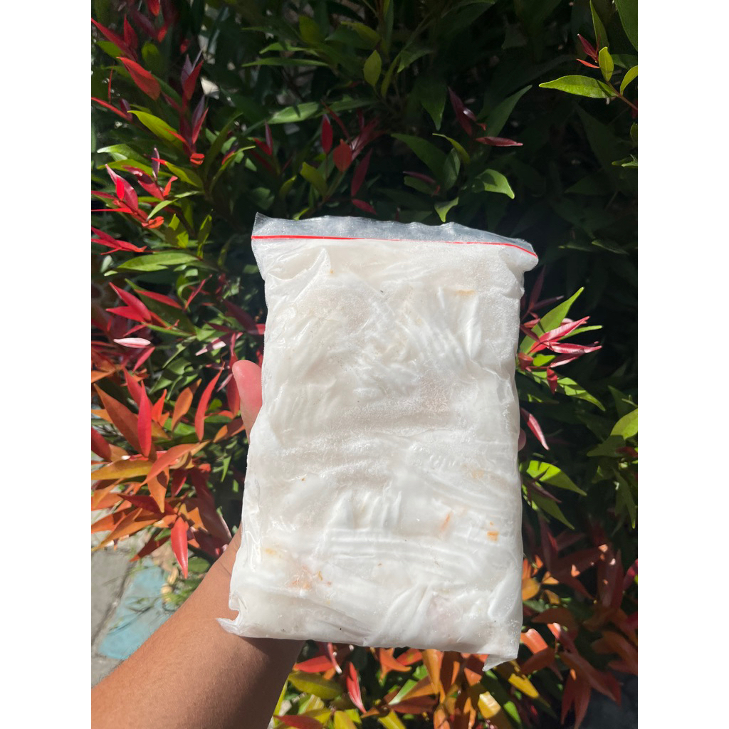 

Degan Frozen 1KG Daging Kelapa Muda Frozen