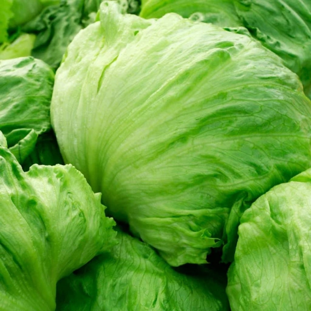 head lettuce 1kg