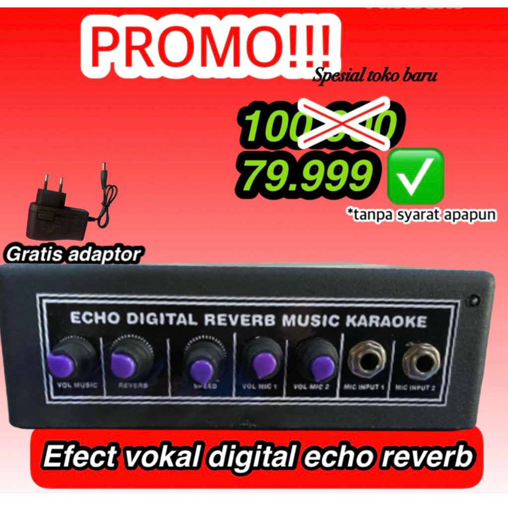 effect vocal digital echo reverb 2 mic