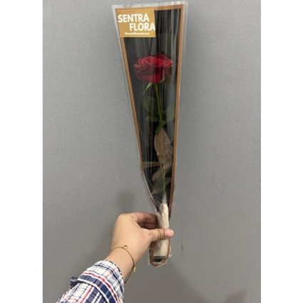 Sentra Flora - Bunga Segar 1 tangkai Mawar / Rose Asli - Fresh Flower / Bunga Potong