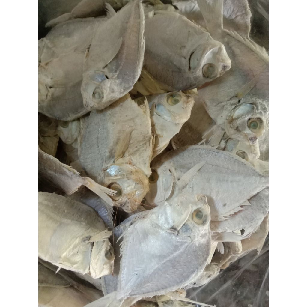 

ikan gesek petek asin gesek petek kualitas super 250gram ¼kg