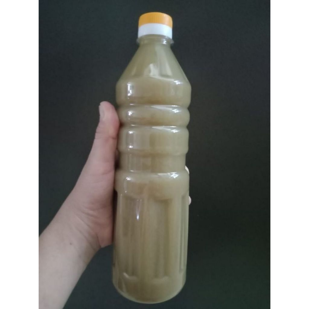 

minuman sari kacang hijau homemade 1 Liter / lek tau cui 1L