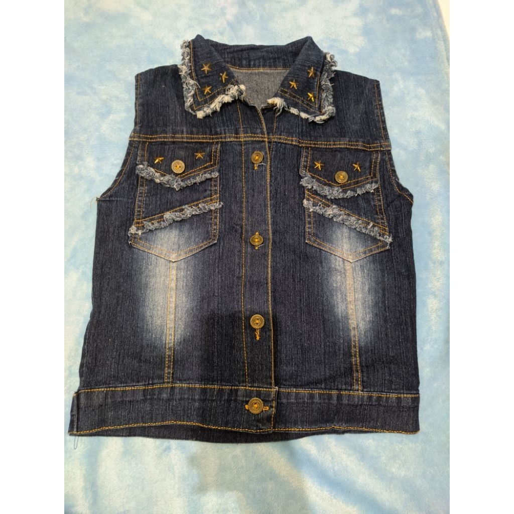 vest Levis