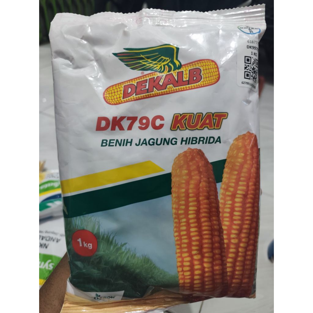 Benih Jagung Dekalb DK79C Kuat