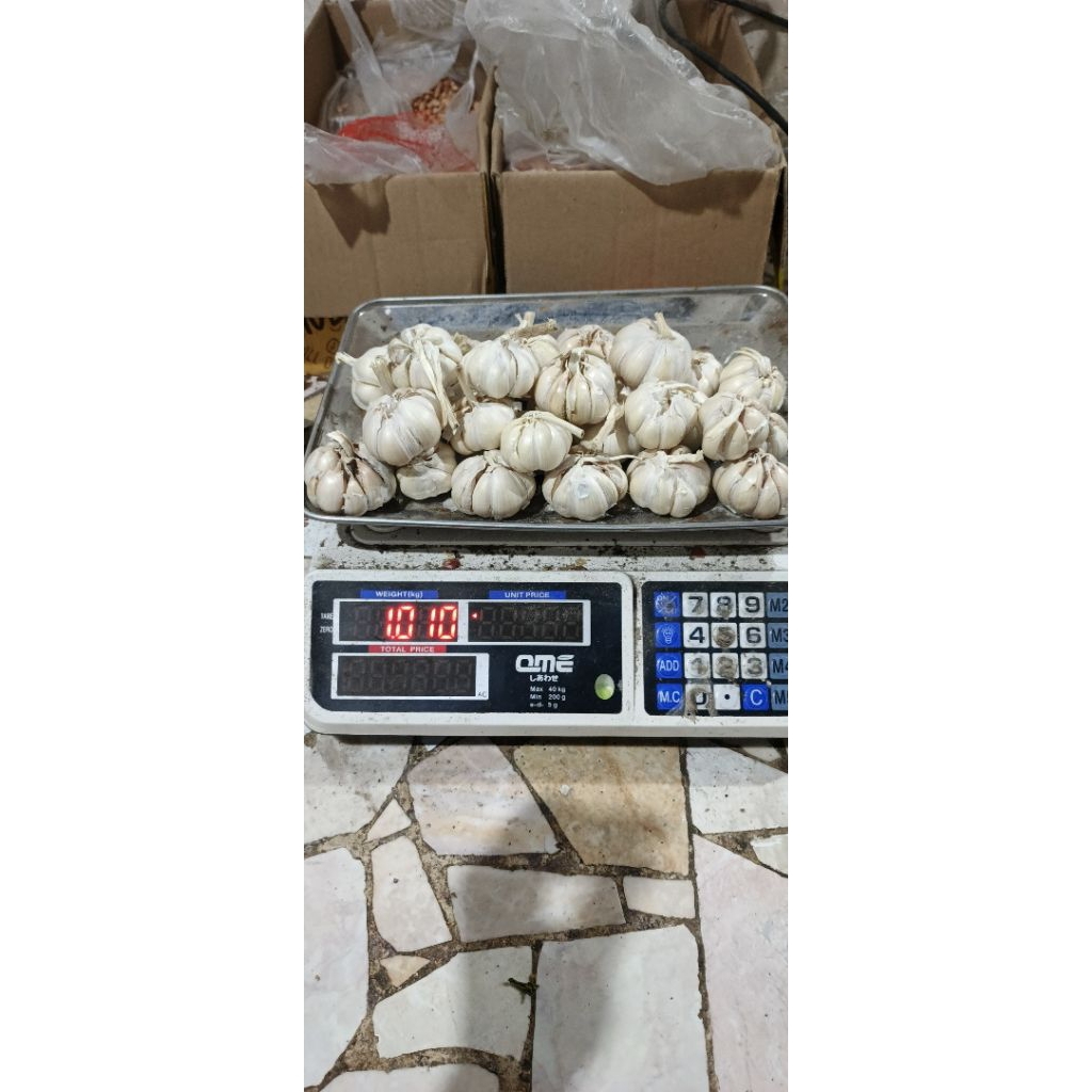 

Bawang Putih 1 kg