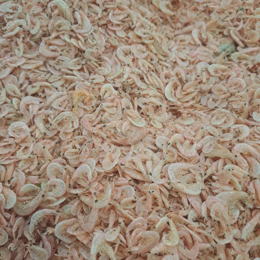 UDANG KECEPE MEDAN REBON KERING 100gr BERSIH MURAH BERKUALITAS