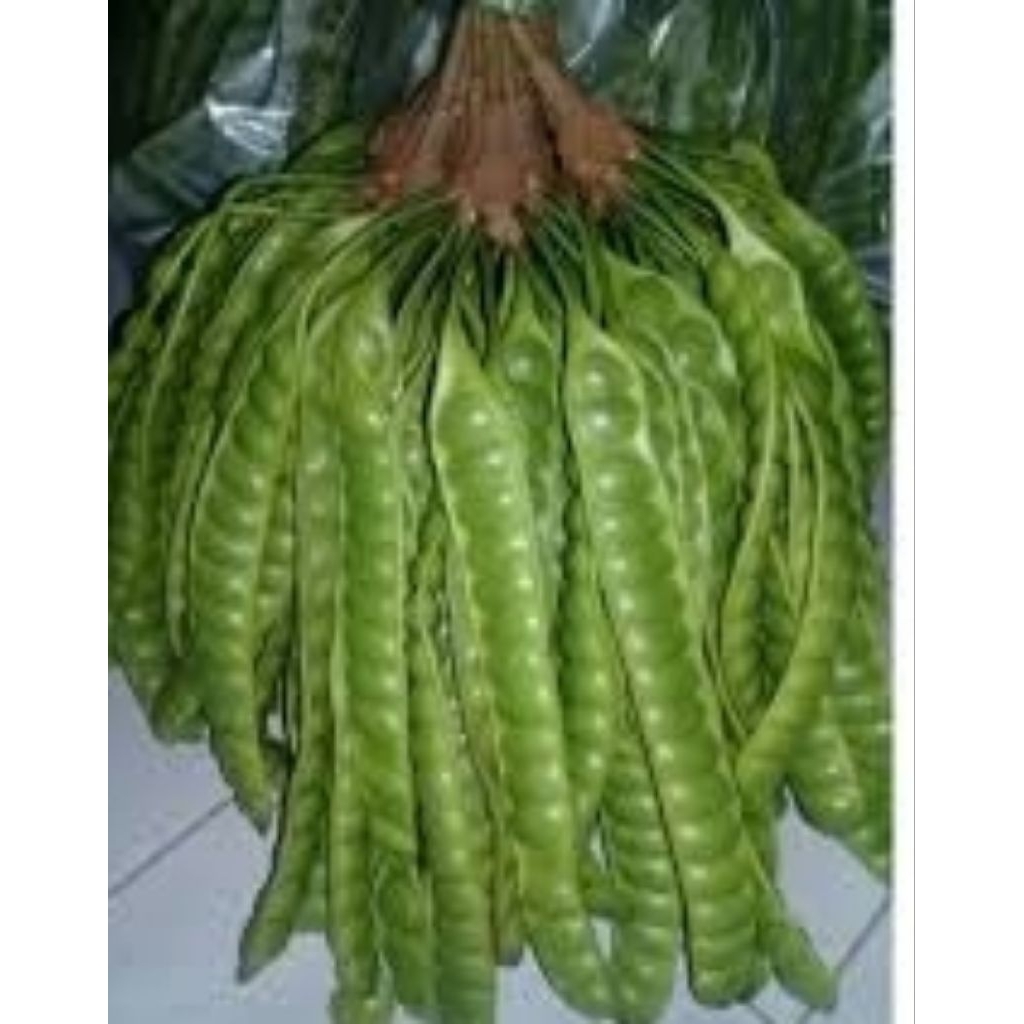 

Pete Ukuran Sedang Berkualitas Tinggi 20 Biji/ 20 Papan