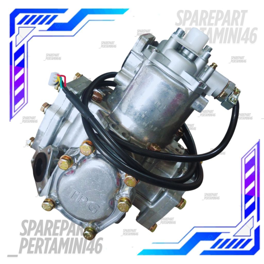 Assymeter Flowmeter TPG Pom Mini Pertamini Digital