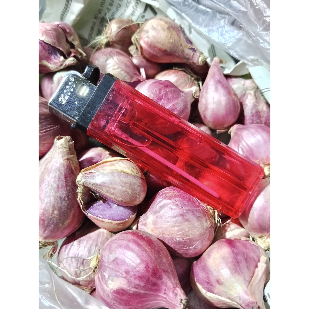 

BIG PROMO bawang merah brambang 1 kg ukuran besar sedang campur