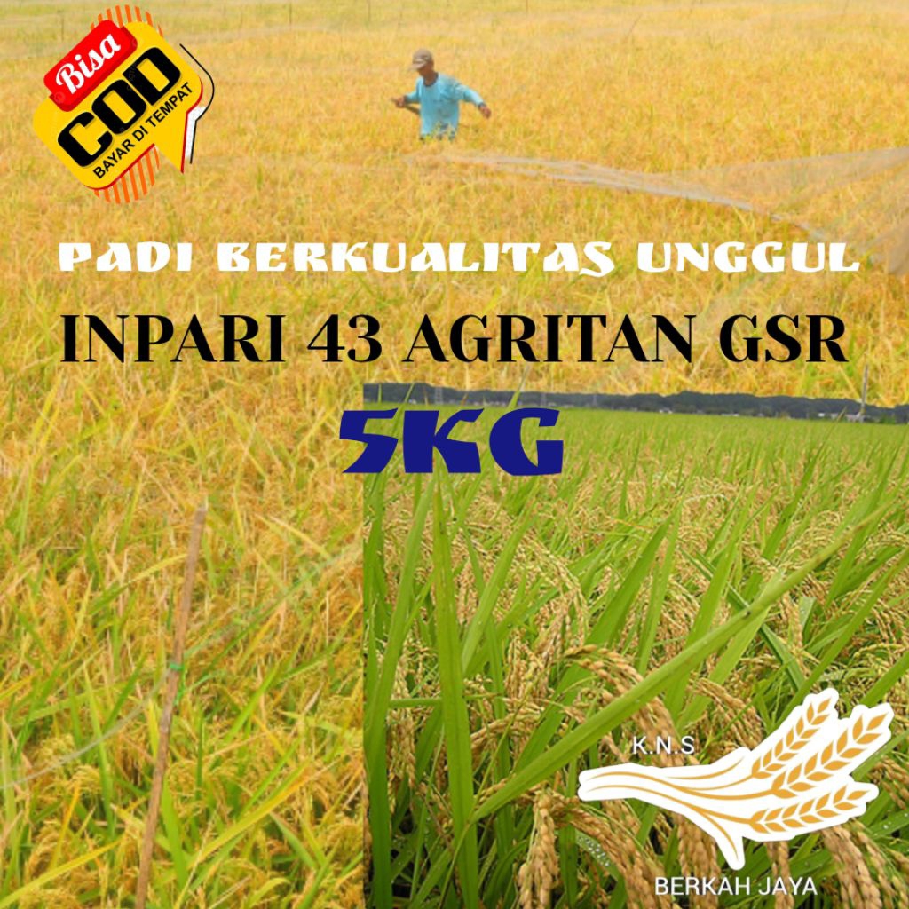 Benih padi Inpari 43 agritan (GSR) unggul kemasan 5kg