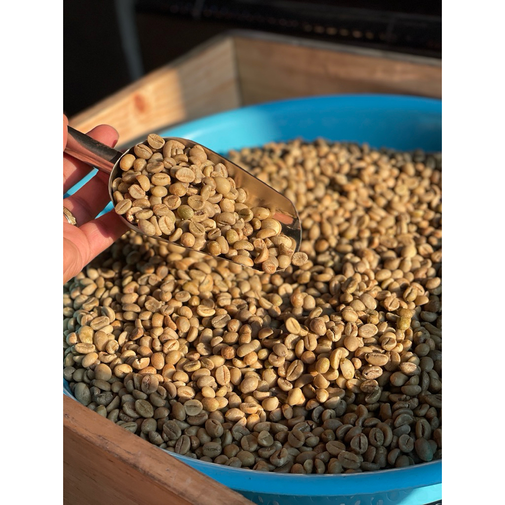 

Biji Kopi Robusta Dampit Natural / Green Bean Robusta Dampit (GRADE I) Full Petik Merah - Kemasan 1 Kg