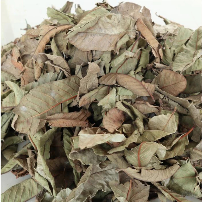 

Herbal Daun Jambu Biji Kering 500gr Murah / 250gr Daun Jambu Biji Kering