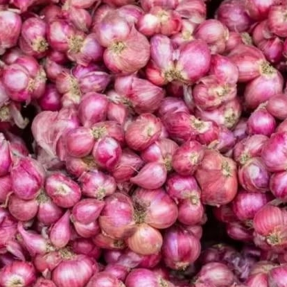 

Bawang Merah 1kg