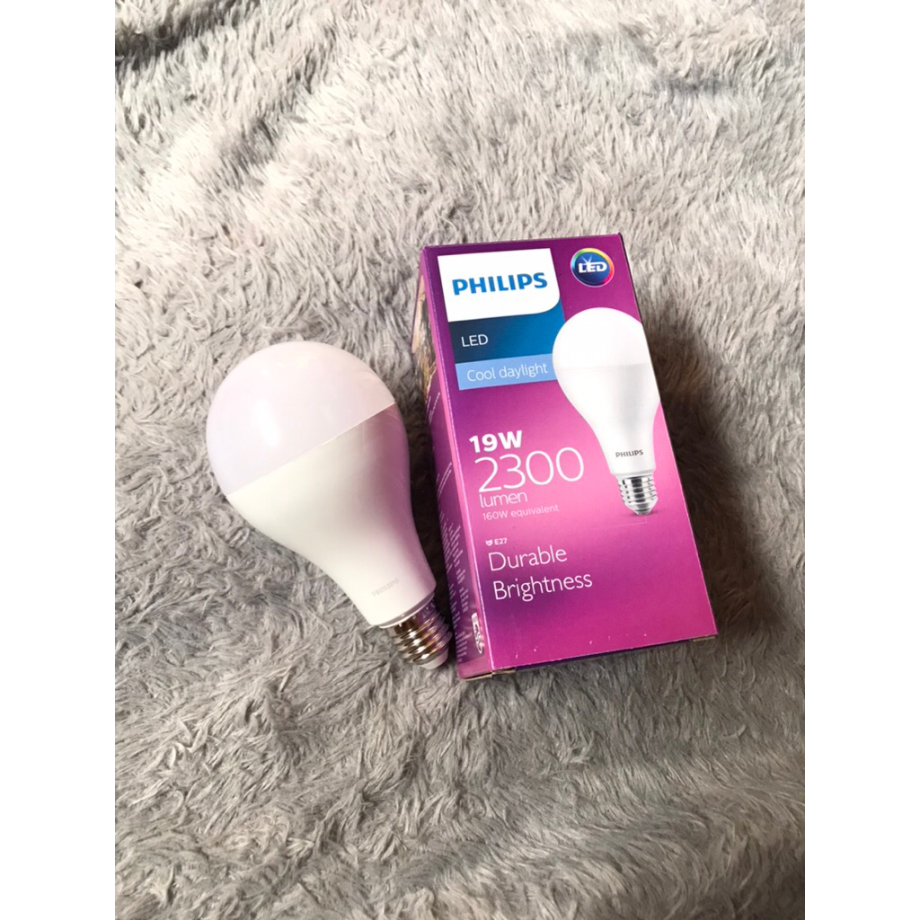 lampu philips 19watt