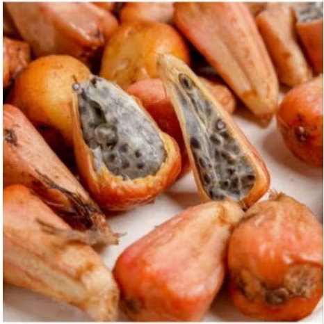 

Asam Cikala sudah dikopek