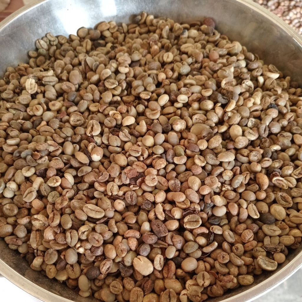 

biji kopi robusta asalan / green bean kota payakumbuh