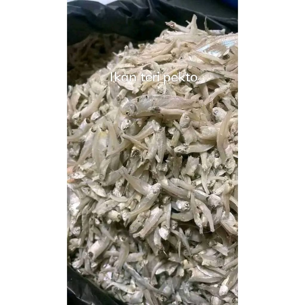 Ikan teri pekto/ teri / teri Medan / teri 500gr / teri 1kg / teri murah