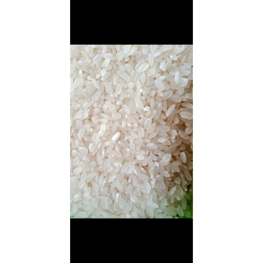 

Beras lokal bulat asli dari Desa langsung dari petani kemasan 1kg tanpa label pulen dan enak